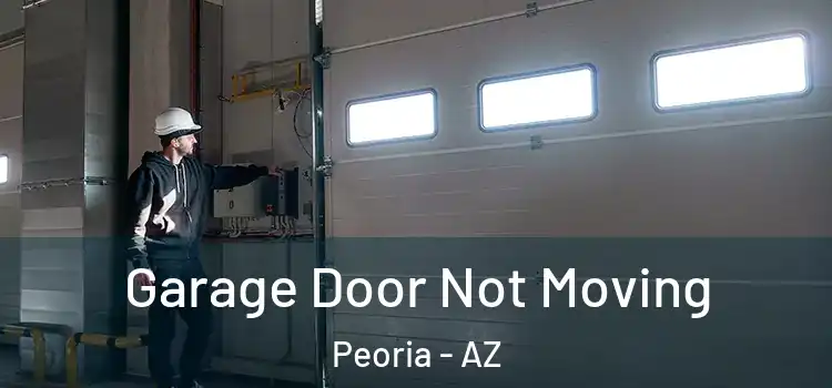  Garage Door Not Moving Peoria - AZ