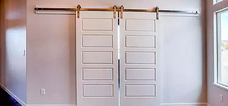 Glass Barn Door with Installation Hardware Kit Peoria