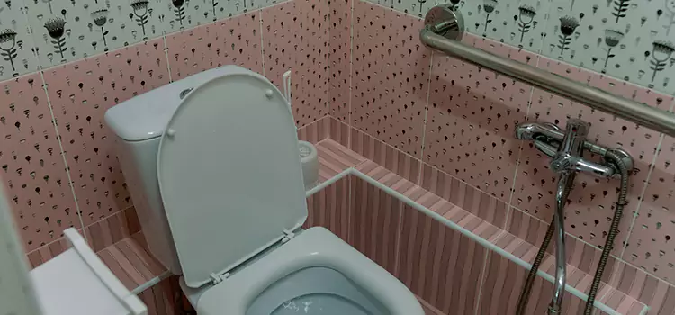 Meeting Diverse Needs With Accessible Restroom Solutions in Peoria, AZ