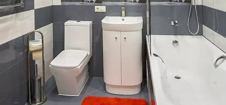 Hansgrohe Shaving Mirror Peoria