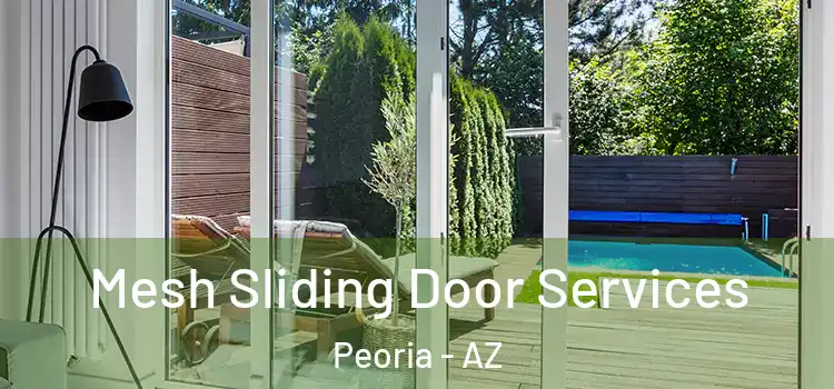  Mesh Sliding Door Services Peoria - AZ